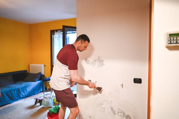 Best Insurance-Related Mold Remediation in Sea Ranch, CA